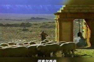 控球如此简单？看兔子姐姐长裙高跟秀运球👍